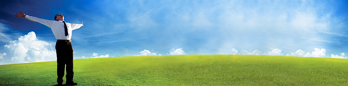 a_business_that_2015